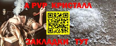 a pvp Ноябрьск