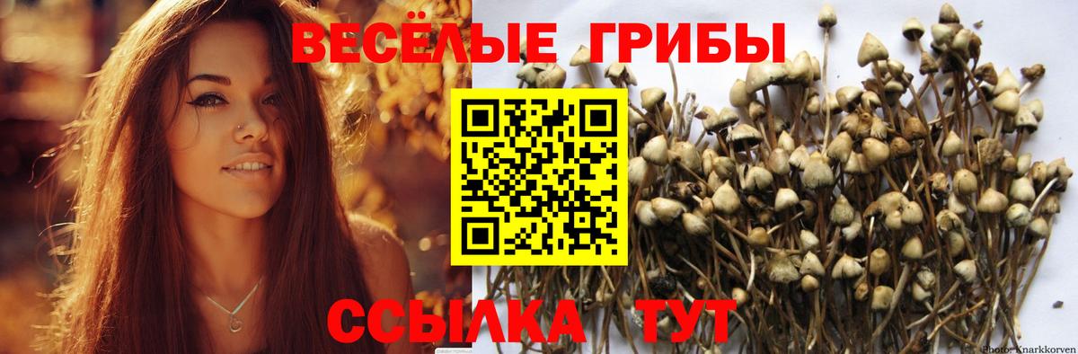 магазин  наркотиков  Вход с VPN  Добрянка  Галлюциногенные грибы GOLDEN TEACHER 