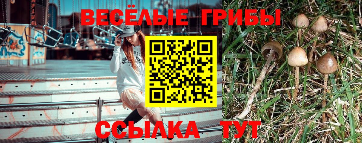 Псилоцибиновые грибы Cubensis Добрянка